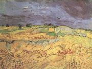Vincent Van Gogh The Fields (nn04) USA oil painting artist